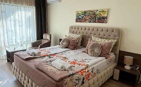 Sunshine Beach Studio